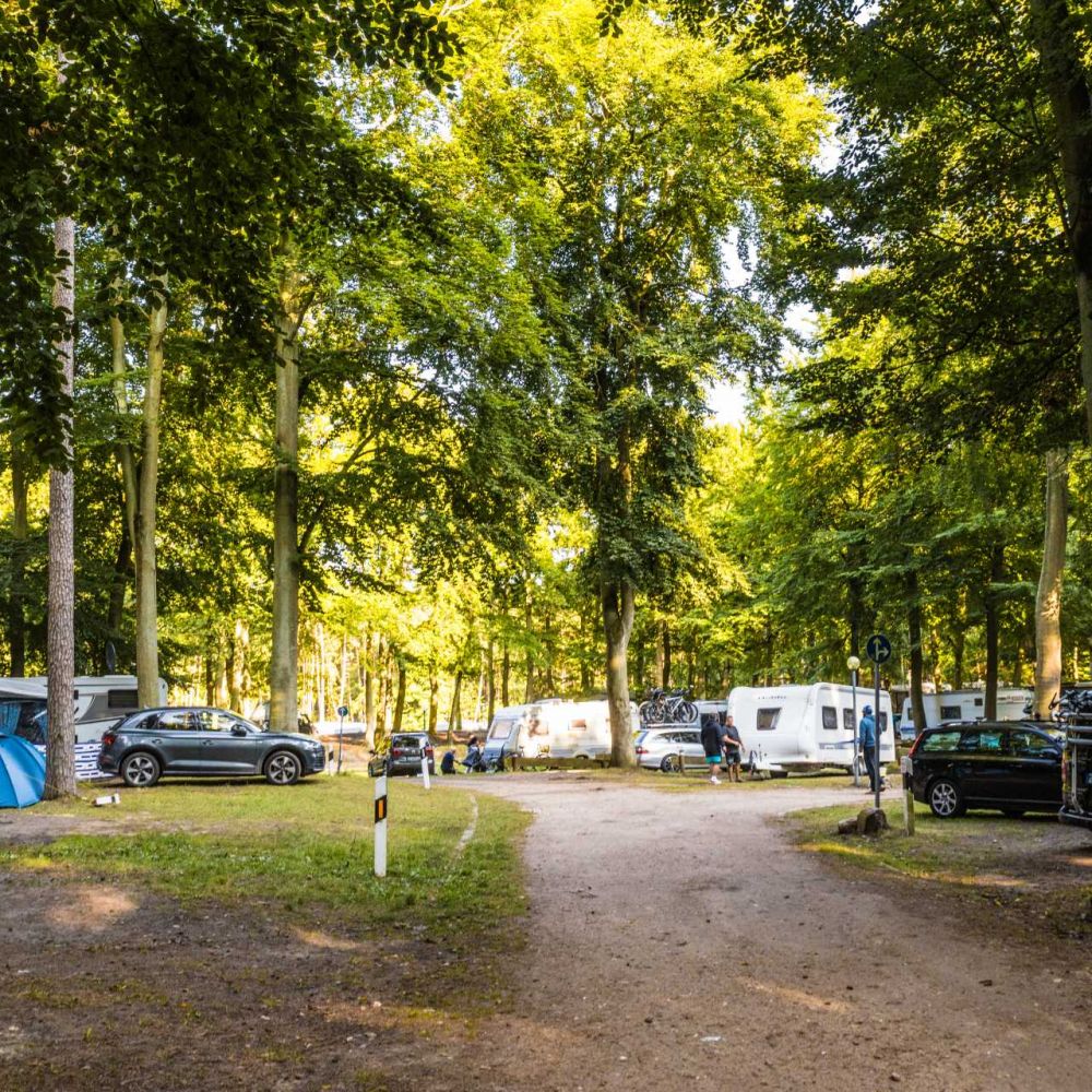 Campingbereich "Am Wanderlehrpfad"