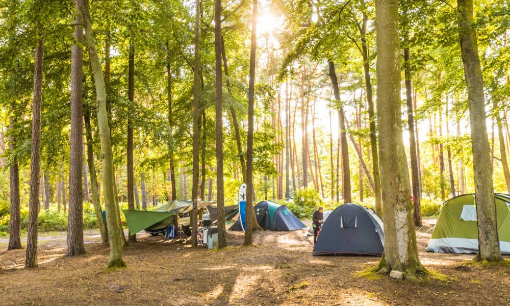 Campingbereich "Buchenhain"
