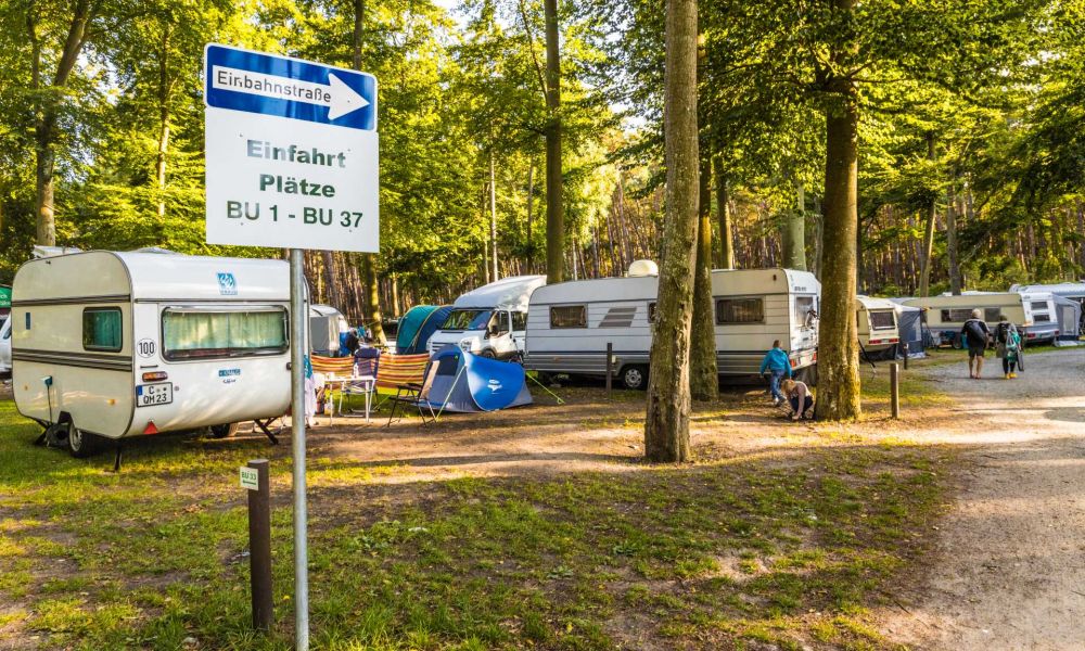 Campingbereich "Buchenhain"