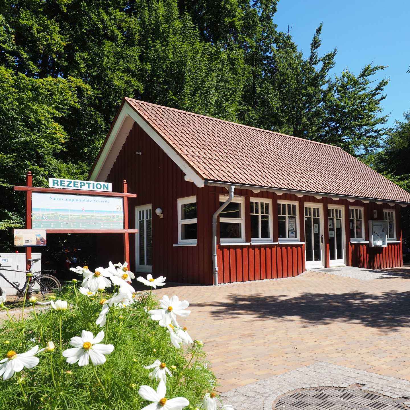 Campingurlaub an der Ostsee Naturcampingplatz in Ückeritz