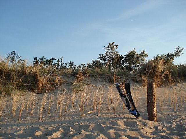 Campingbereich "Birkengrund"