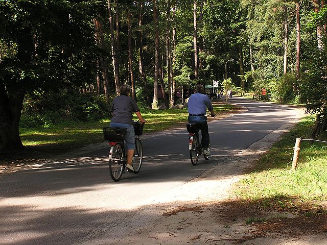 Campingbereich "Am Wanderlehrpfad"